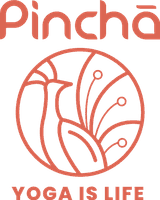Pincha